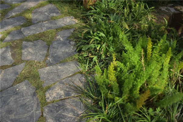 景虎景觀丨官塘小村·宅里