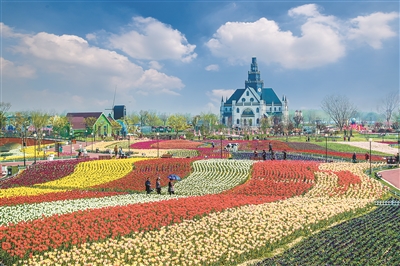 打造最美花海需要怎么做？