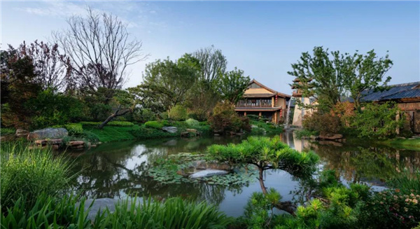 賽肯思：用創造力連接人與自然