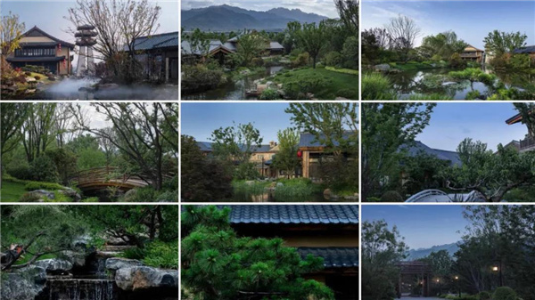 賽肯思：用創造力連接人與自然