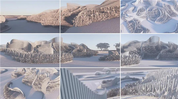 賽肯思：用創造力連接人與自然