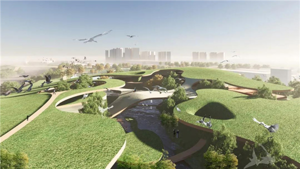 賽肯思：用創造力連接人與自然