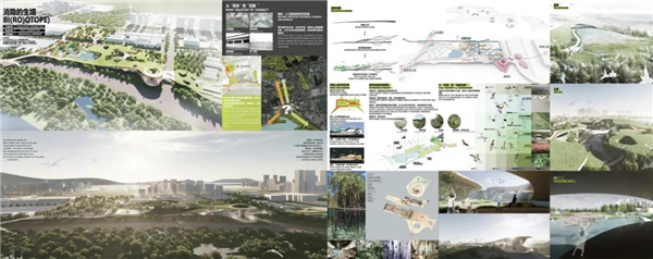 賽肯思：用創造力連接人與自然