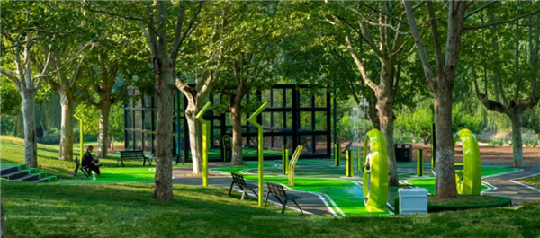 賽肯思：用創造力連接人與自然