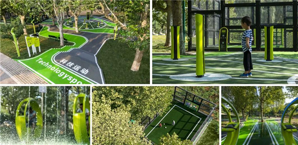 賽肯思：用創造力連接人與自然