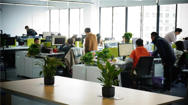 賽肯思：用創造力連接人與自然