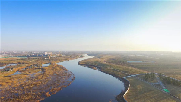 怡境景觀丨灃河濕地生態公園