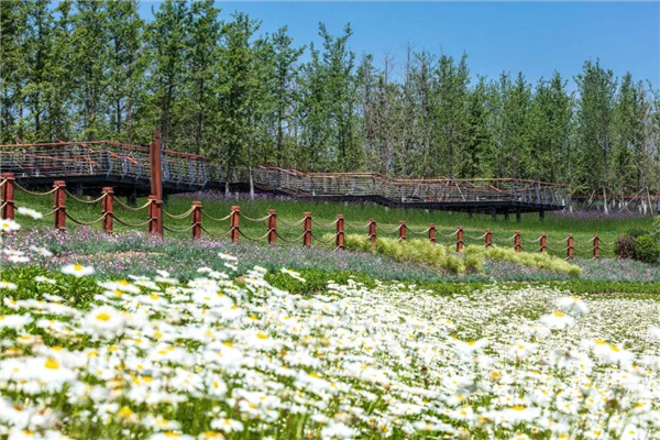 怡境景觀丨灃河濕地生態公園