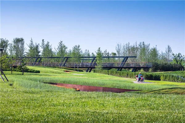 怡境景觀丨灃河濕地生態公園