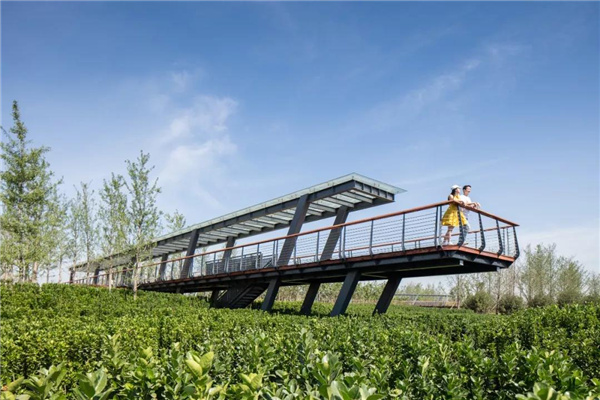 怡境景觀丨灃河濕地生態公園