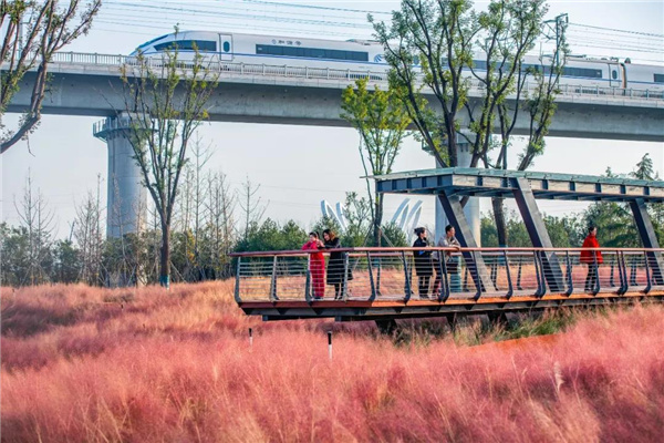 怡境景觀丨灃河濕地生態公園