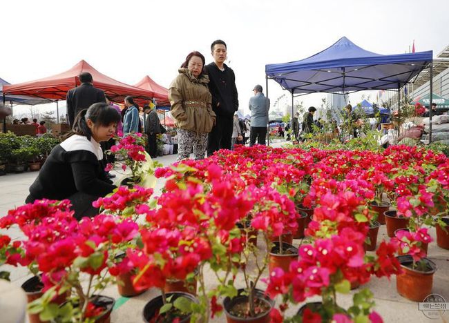 第四屆蘭州花卉博覽會開幕