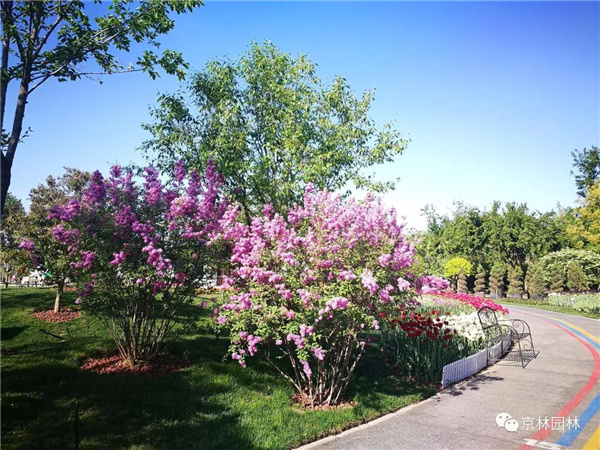 京林生態花園2021年(第三屆)春季花展即將盛大開幕