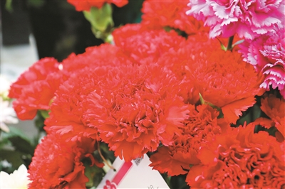 第二十三屆中國(guó)國(guó)際花卉園藝展覽會(huì)在上海舉辦