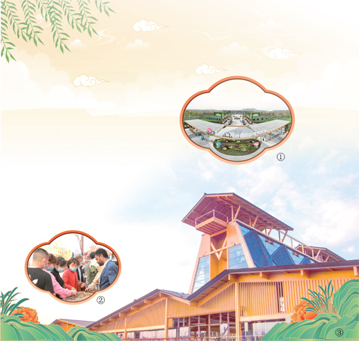 世界園藝博覽會(huì)首次落戶長(zhǎng)三角地區(qū) 有何看點(diǎn)?