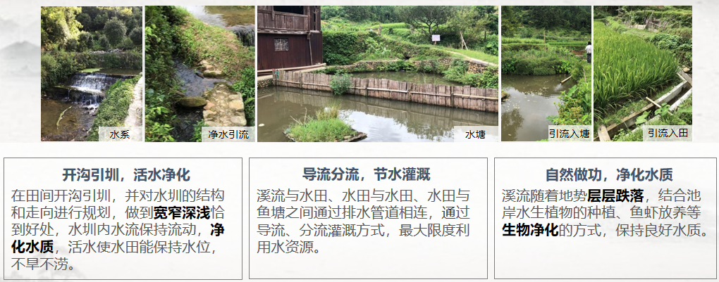 胡希軍:中國傳統村落生產智慧,從文化自信到文化輸出