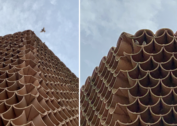 蔣曉飛:傳統村落空間重構及價值重塑