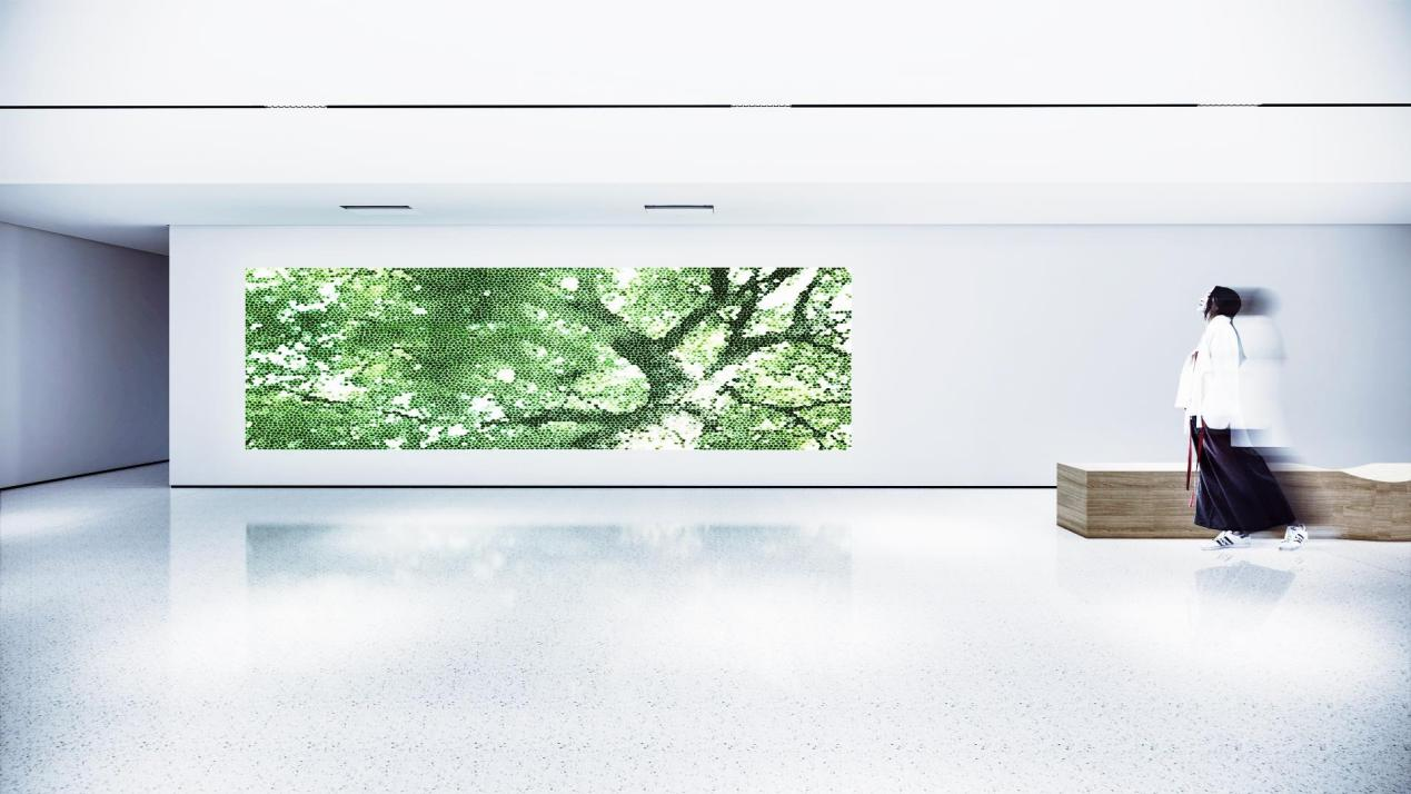 盛宇宏:從建筑融入到自然生長