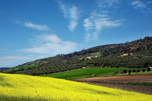 基于三態(tài)合一的高原山地鄉(xiāng)村振興