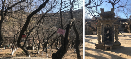 張鴿娟:西北鄉(xiāng)村“共同營(yíng)建”探討