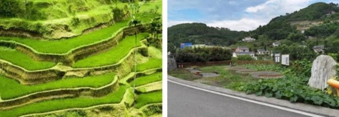 董莉莉:設(shè)計介入鄉(xiāng)村多維路徑探索