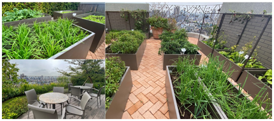 后疫情時(shí)代的健康環(huán)境規(guī)劃新思路