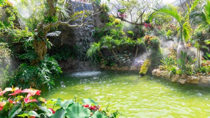 花博文化園7月20日起向社會公眾開放