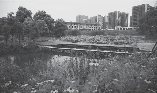 俞孔堅:“海綿城市”出路何在?