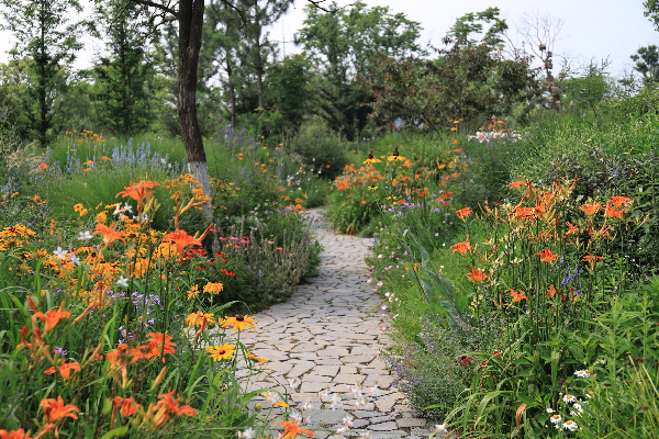 二木丨祥源星球花園