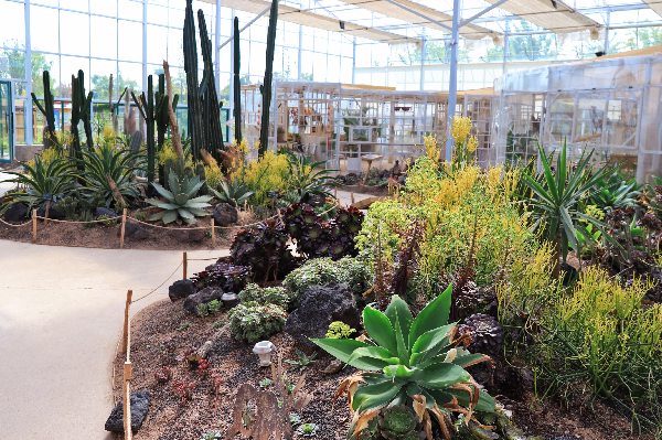 二木丨祥源星球花園