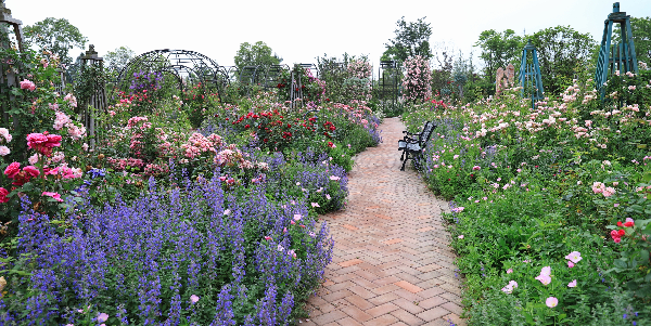 二木丨祥源星球花園
