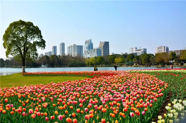 可齋景觀丨寧波·鄞州公園一期八景提升