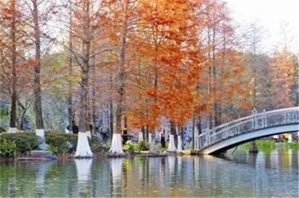 可齋景觀丨寧波·鄞州公園一期八景提升