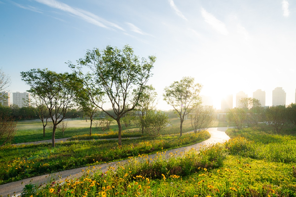 AECOM丨融創星耀五洲9號島景觀提升