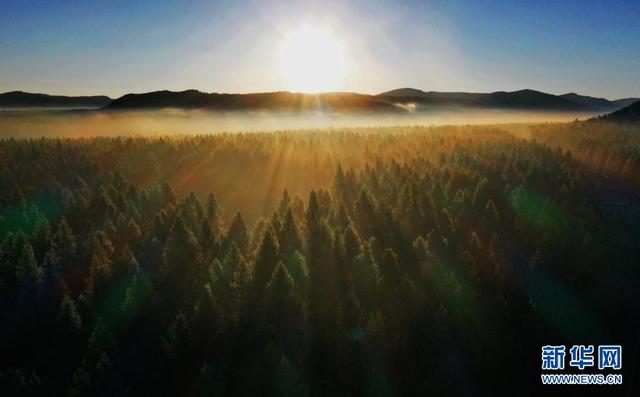 塞罕壩，習近平為何如此關注？