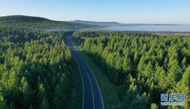 塞罕壩，習近平為何如此關注？