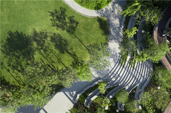 TK Studio丨泰國芳林城市森林館