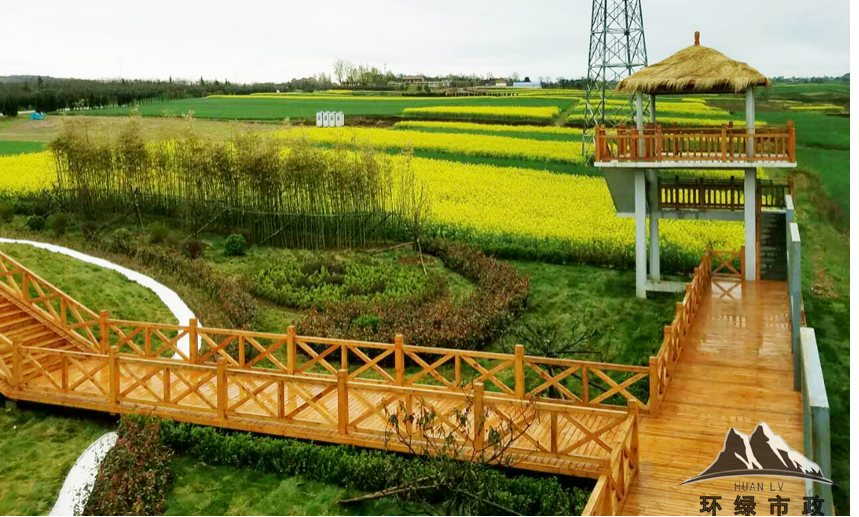 黎妮：為西部美麗鄉(xiāng)村注入新活力