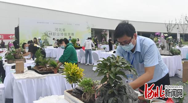 2021年河北省園林職業(yè)技能競賽在唐山開賽