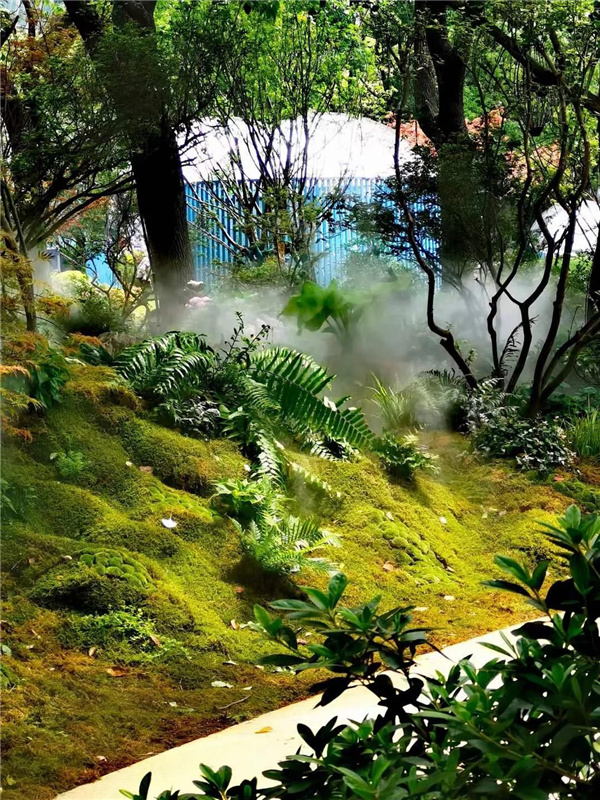 北斗星景觀丨世界會客廳花園