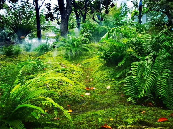 北斗星景觀丨世界會客廳花園