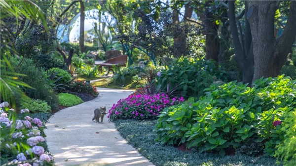 北斗星景觀丨世界會客廳花園