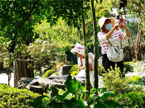 北斗星景觀丨世界會客廳花園