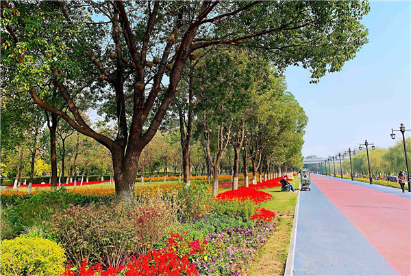 長江左右岸江灘觀光道路景觀