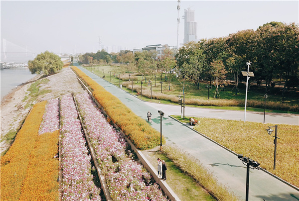 長江左右岸江灘觀光道路景觀