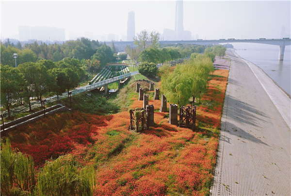 長江左右岸江灘觀光道路景觀
