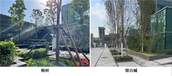 寶佳豐國際設計丨中海北京金安環宇薈