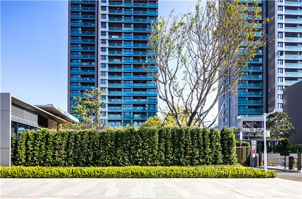 招商前海領璽項目景觀設計