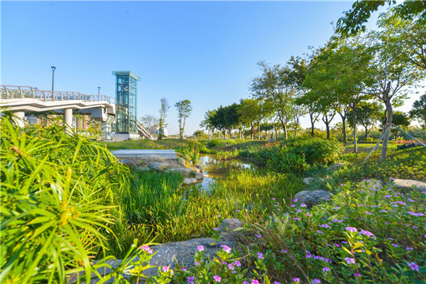 佛山西江產(chǎn)業(yè)新城景觀設(shè)計(jì)