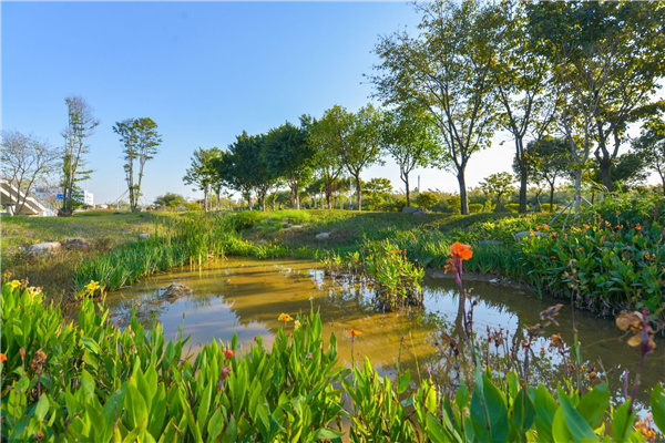 佛山西江產(chǎn)業(yè)新城景觀設(shè)計(jì)